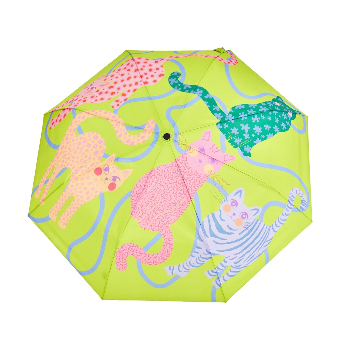 DUCKHEAD UMBRELLA, GREEN - CATS