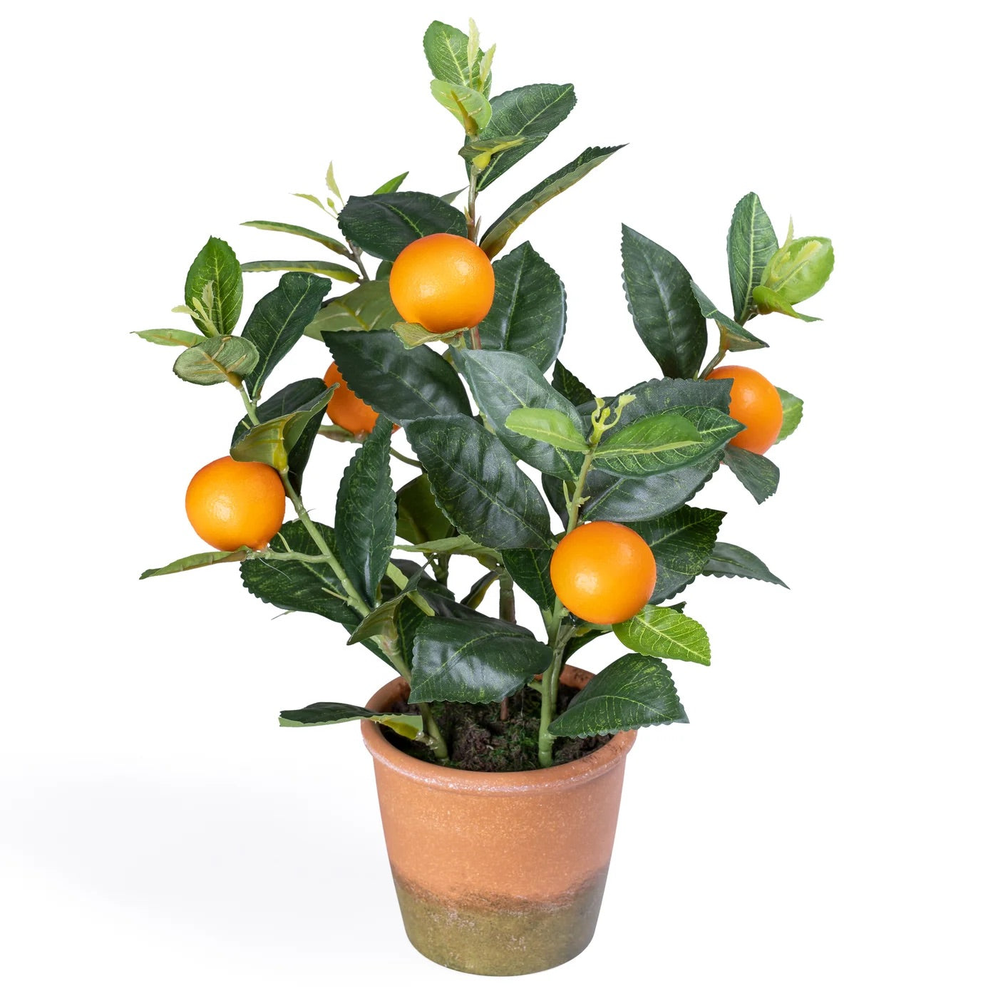 PLANT - FAUX ORANGE TREE